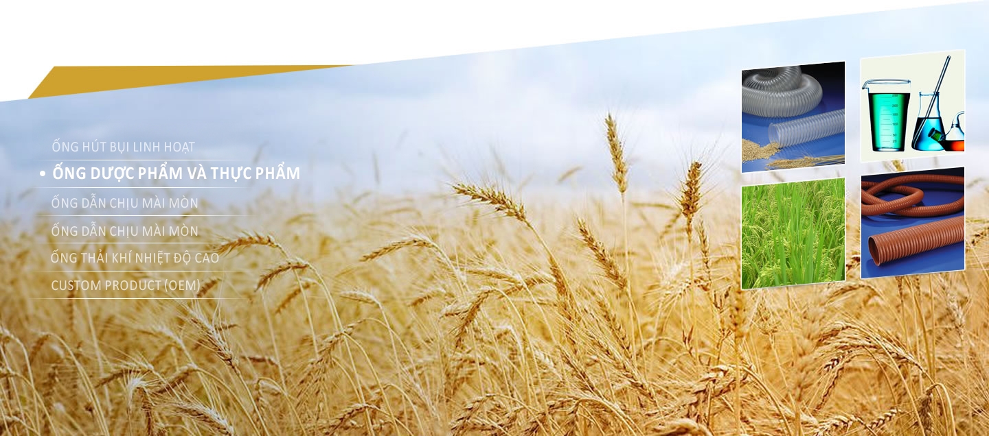 ỐNG THỰC PHẨM- ỐNG DƯỢC PHẨM ỐNG THỰC PHẨM- ỐNG DƯỢC PHẨM